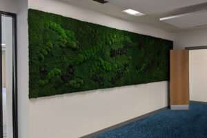 Moss Wall